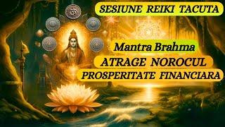 SESIUNE REIKI TACUTA- ATRAGE NOROCUL - PROSPERITATEA FINANCIARA