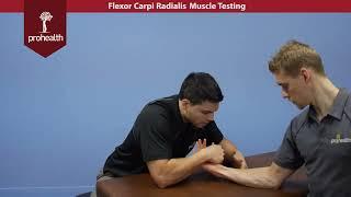 Flexor Carpi Radialis Muscle Test Palpation Dr Vizniak Muacle Manual