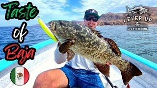 Fishing Baja, Mexico: CASTING for BIG GROUPER | EPIC Cabrilla & Yellowtail | Sea of Cortez