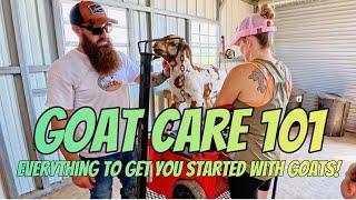How to keep your goats healthy- Best tips for beginners and seasoned goat keepers!
