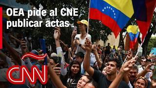 OEA pide al CNE publicar actas de las elecciones: resumen en video de últimas noticias en Venezuela