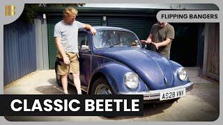 Restoring a Beloved VW Beetle - Flipping Bangers - S02 EP05 - Car Show