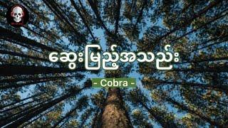 ဆွေးမြည့်အသည်း ( Cobra ) "ငါလေမင်းနဲ့ချစ်ခဲ့ပြီးတဲ့နောက်ပိုင်းမှာ မင်းကိုငါ ယုံကြည်ခဲ့လို့" {Lyrics}