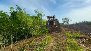 Very good! CAT D6R XL Bulldozer Builds New Road for Community Garden