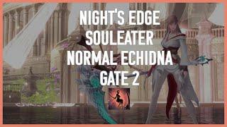 [Lost Ark] 1620 Night's Edge Souleater Normal Echidna Gate 2