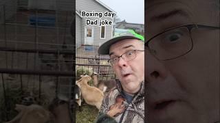 Boxing day #boxing #boxingday #jokes #goat #farm #funny #happy #dadjoke