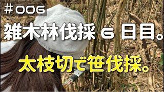 ≪週末DIYから始める移住への道≫ ＃006 雑木林伐採6日目。笹を太枝切りで切ってみる。≪アラフィフ開拓≫