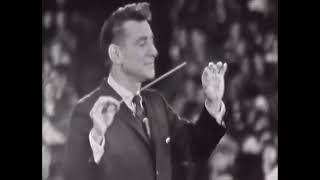 Leonard Bernstein - Young People's Concerts: Humor in Music