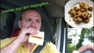 Immer nur am mampfen.... / Sandwich und Scampis