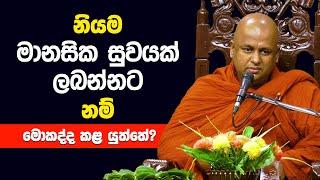 නියම මානසික සුවයක් ලබන්නට නම් මොකද්ද කළ යුත්තේ? | Thalale Chandakiththi Thero