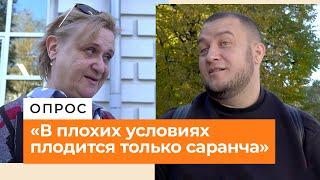 В России падает рождаемость. Поможет ли запрет на пропаганду "чайлдфри"? | Опрос