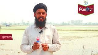 Reatis: Stem Borers & Leaf Folder Solution for Rice - Farmer Testimonial (Hindi) | Bayer