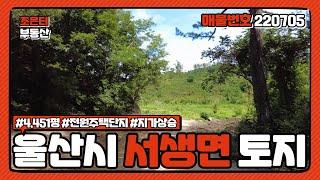 토지 0705 ) 울산시 울주군 서생면 토지 매매 / 4451평 / 전원주택단지 조성 / 재테크 및 투자 목적으로 강력하게 추천 드릴 매물입니다!