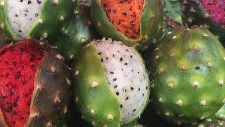 Barrio de las Nueve Esquinas, sede de la venta de pitaya en Techaluta de Montenegro, Jalisco