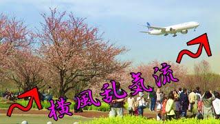 【成田と桜とゴーアラと】横風乱気流の吹き荒れる成田空港 着陸集