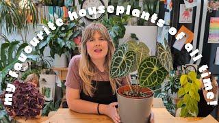 Top 10 FAVOURITE houseplants in my collection  Alocasia, Monstera & more...