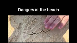 Dangers at the beach…#youtube #tiktiok #fyp #viral #subscribers