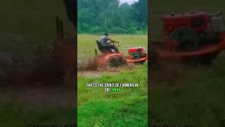 Sri Lankan Paddy Field Adventures: Boat Tractor Floundering! 