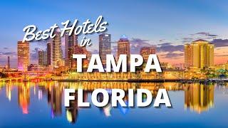 Best Hotels in Tampa, Florida - From Luxury to Family-Friendly *2022*