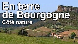 En terre de Bourgogne - Côté Nature