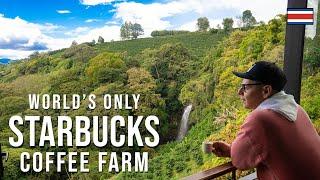 World's Only Starbucks Coffee Farm ️ | Hacienda Alsacia Costa Rica