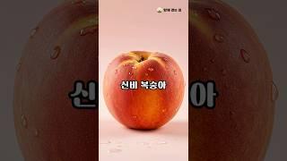 신비복숭아 효능 #신비복숭아 #복숭아효능 #시니어건강 #과일효능 #건강정보 #식이섬유 #비타민C #면역력강화 #노화방지 #피로회복 #변비개선 #과일섭취 #피부건강
