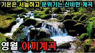 (4k)추위까지 느껴지는 신비한 계곡  대한민국 대표 출사지 영월 상동 이끼계곡 걷기 /Walking on Korea/Moss valley on Young Wol town