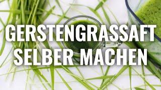 GERSTENGRASSAFT SELBER MACHEN (Rezept)