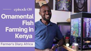 Kenyan Ornamental Fish Farms - The Next Step In Kenyan Agriculture