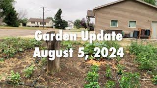 Garden Update - August 5, 2024