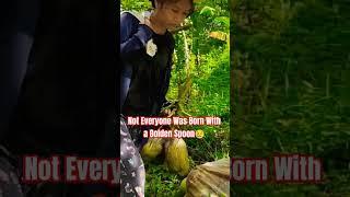 Life In The Philippines As Farmer  Carrying Coconut & Harvest  #farmer #livinginthephilippines