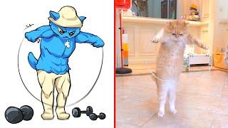 Cat Memes: We Live, We Love, We Lie - Smurf Cat  Trending Funny Animals 2024 