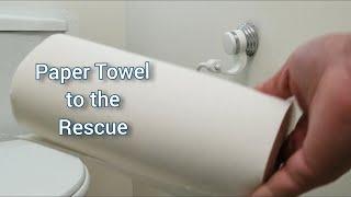 Toilet Paper Crisis Solution No. 1