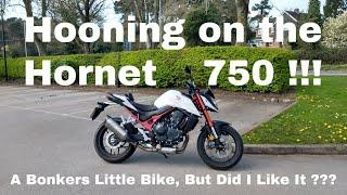 Honda CB750 Hornet | Ride Review | What a Hoot | pls read description.