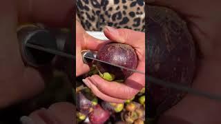 Beautiful Nature - Inspur Fresh Fruit wonderful video of Industry #9239