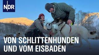 Winter in Norwegen - Glücklich durch die dunkle Jahreszeit  | Nordseereport | NDR Doku