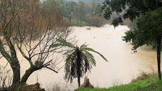 The worst flood we have ever had | Feather’ndown homestead vlog