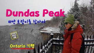 ️ 토론토 서쪽에서 가장 인기있는 하이킹 코스 Dundas Peak