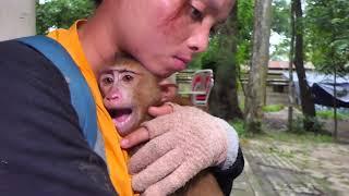 New abandoned don't know how to sleep on the tree  KT put him to sleep at public toilet He.....