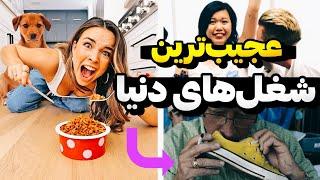 عجیب ترین شغل هایی که باور نمیکنید وجود داشته باشن  | strangest jobs