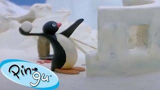 Pingu in the Snow  | Pingu - Official Channel | Cartoons For Kids