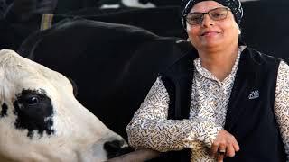 India's High Tech Cow Dairy Farm Virtual Tour मुखी डेयरी फार्म का आभासी दौरा