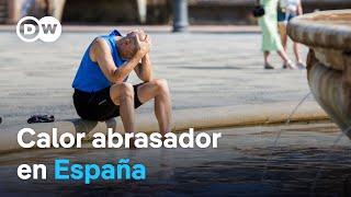 En el sur de España se registran temperaturas de más de 40 grados