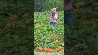 Waiting for The Great Pumpkin in a sincere pumpkin patch