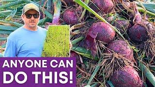 THE BEST ONION GROWING TIPS for Any Skill Level!