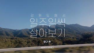 [양구편] 강원도에서 일주일씩살아보기, 양구 일주일살기 여행육아 브이로그 | 강원도 1인 미디어 크리에이터