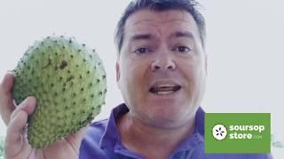 How to know when soursop fruit  is ripe and when to cut it