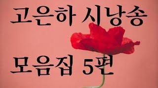 시낭송/고은하시낭송 모음집 5편 나는 꽃으로 살아간다. 정현우시인