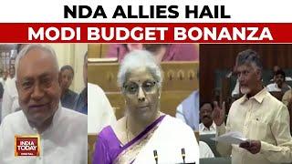 Budget 2024-25: NDA Allies Hail Modi Budget Bonanza, Nitish Kumar Says 'Happy With Budget'