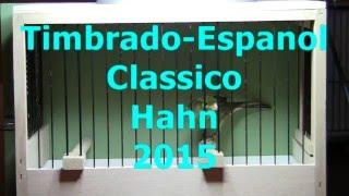 Timbrado-Espanol-Classico-Hahn.